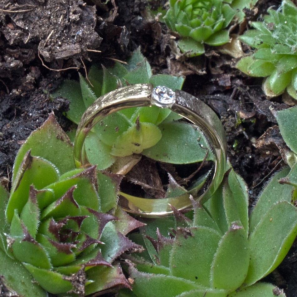 Brillantspannring zweifarbig