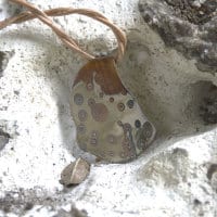 Mokumegane Baumschwamm