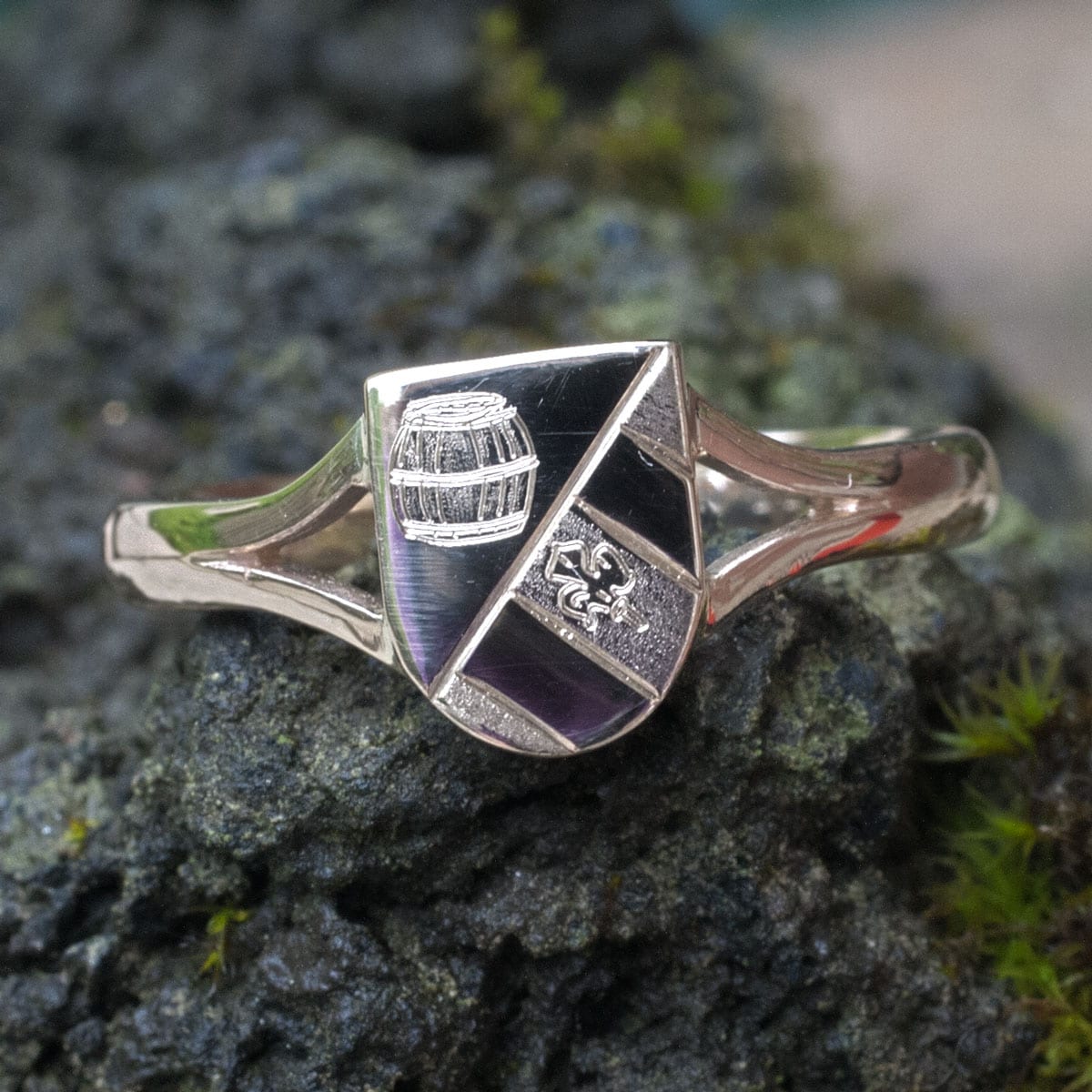 Wappenring Salzweg aus Gold