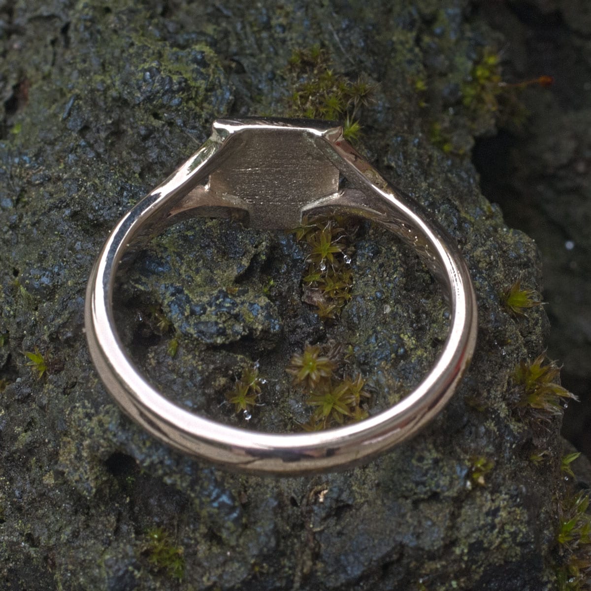 Wappenring Salzweg aus Gold