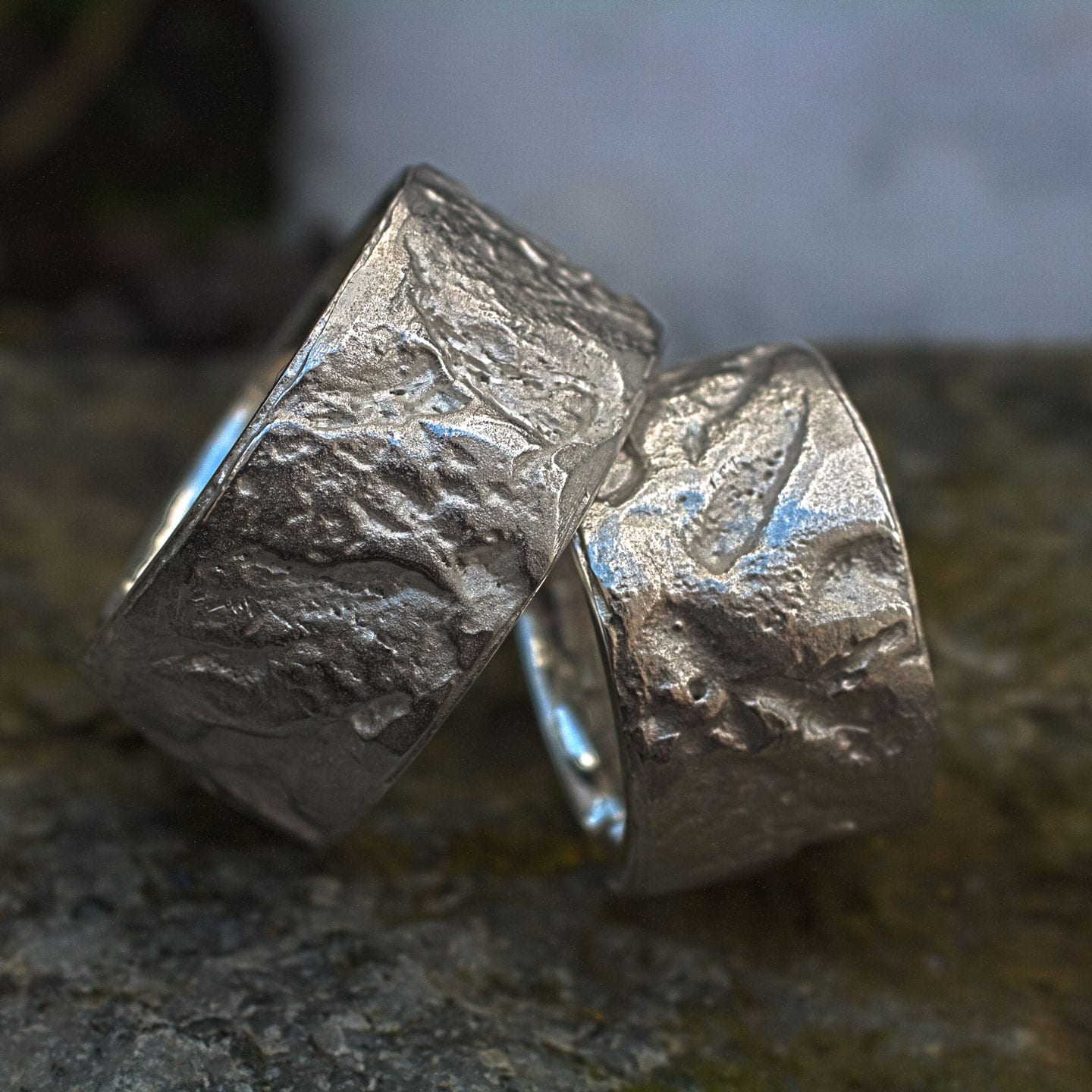 Silberringe Baumrinden-Struktur