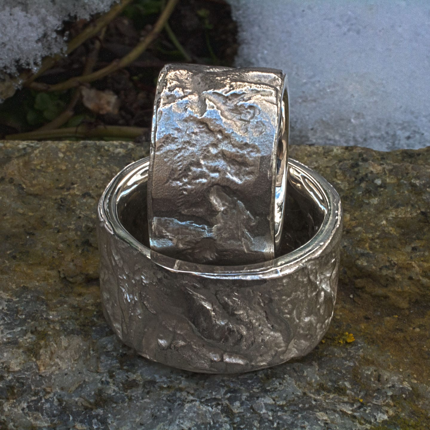 Silberringe Baumrinden-Struktur