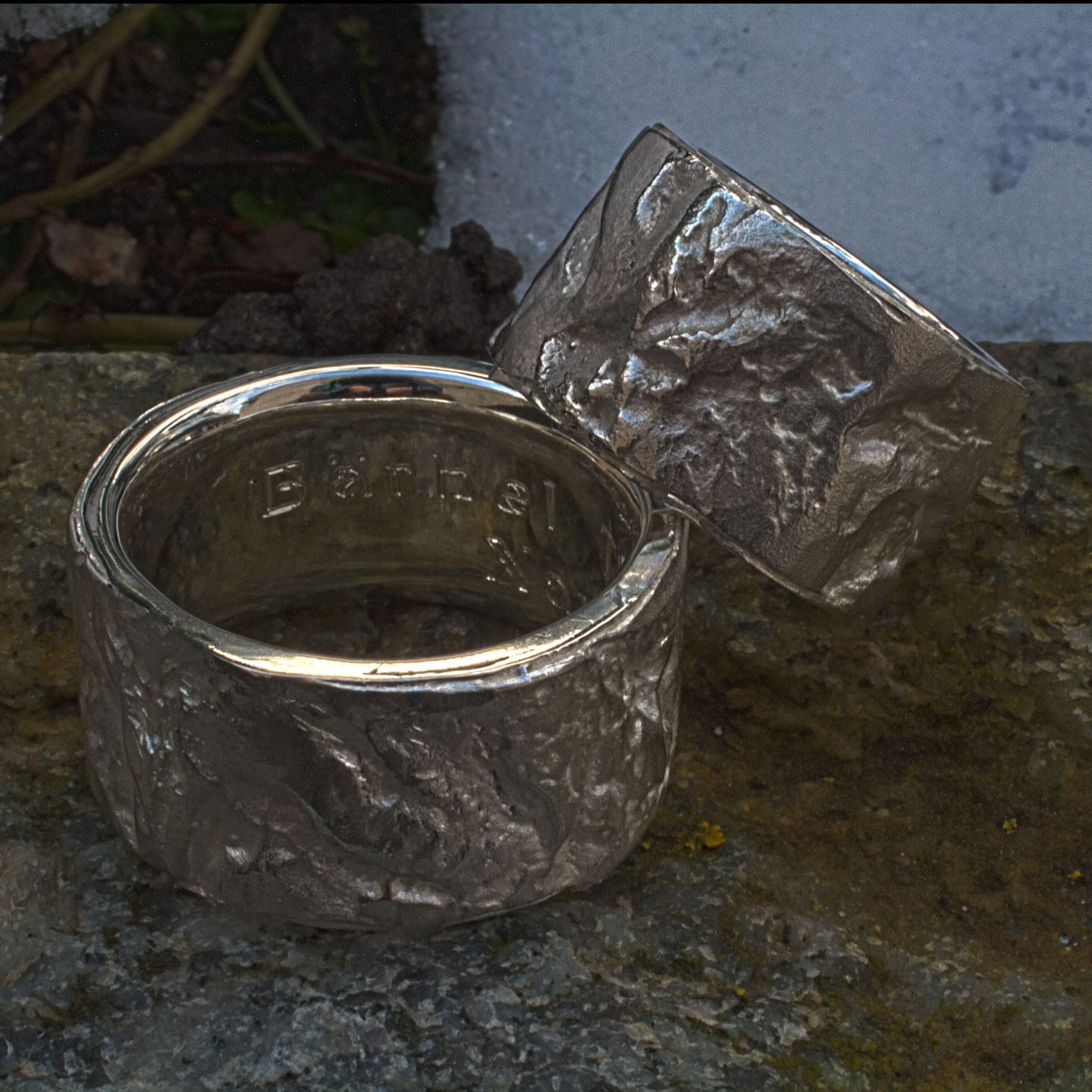 Silberringe Baumrinden-Struktur