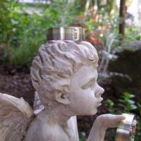 Palladiumringe mit Gelbgoldstreifen