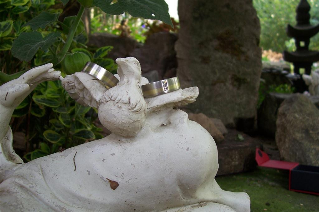 Palladiumringe mit Gelbgoldstreifen