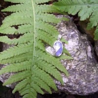 Ginkoblatt mit Mondstein