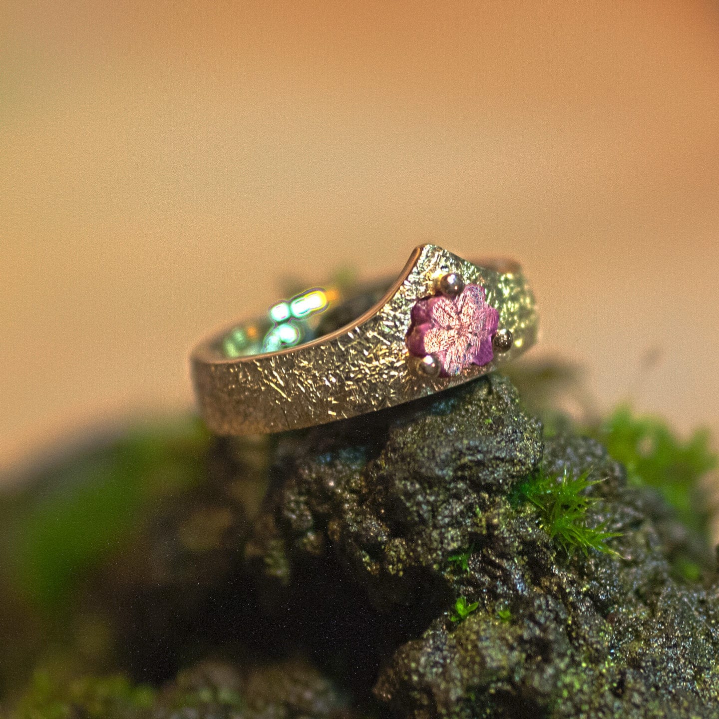 Rubinrose – Bild 6