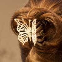 Silberklammer Schmetterling