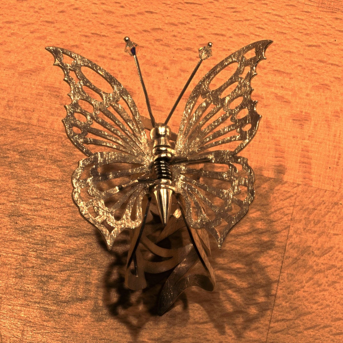 Silberklammer Schmetterling