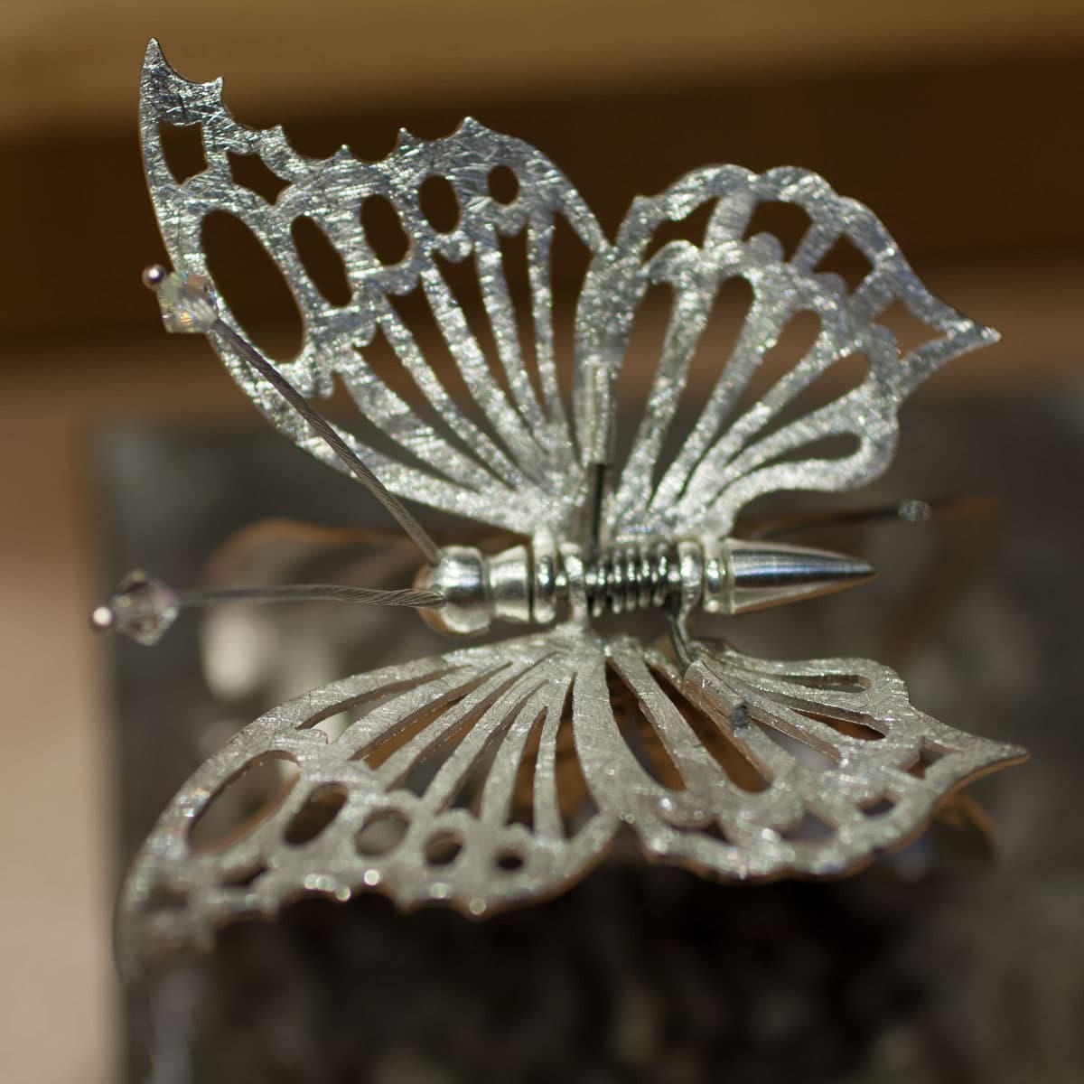 Silberklammer Schmetterling