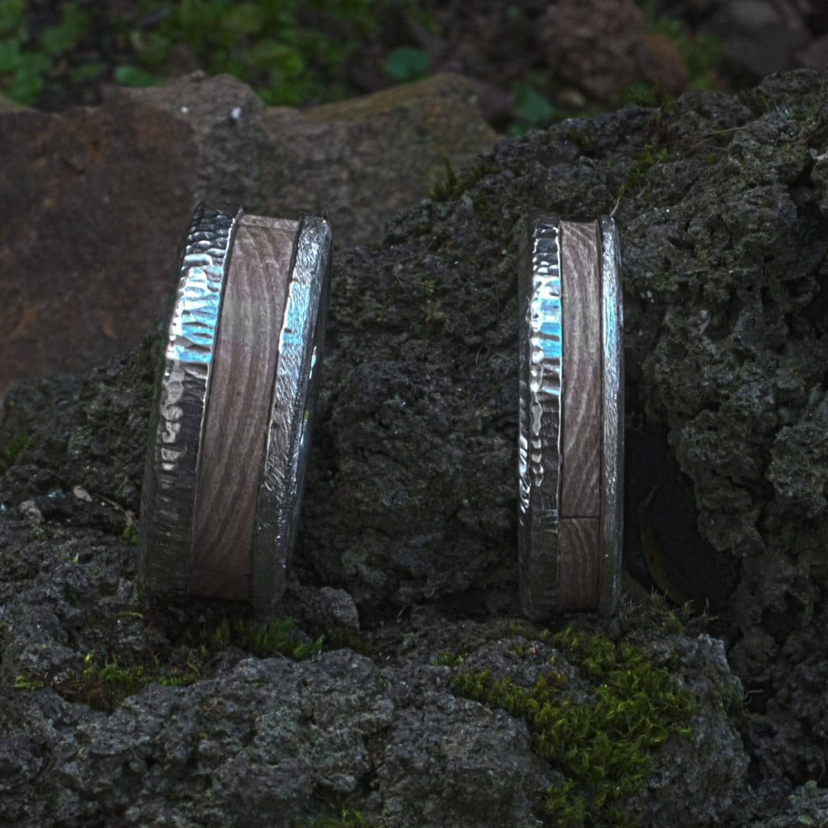Eheringe mit versteinertem Holz