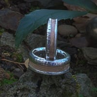 Eheringe mit versteinertem Holz
