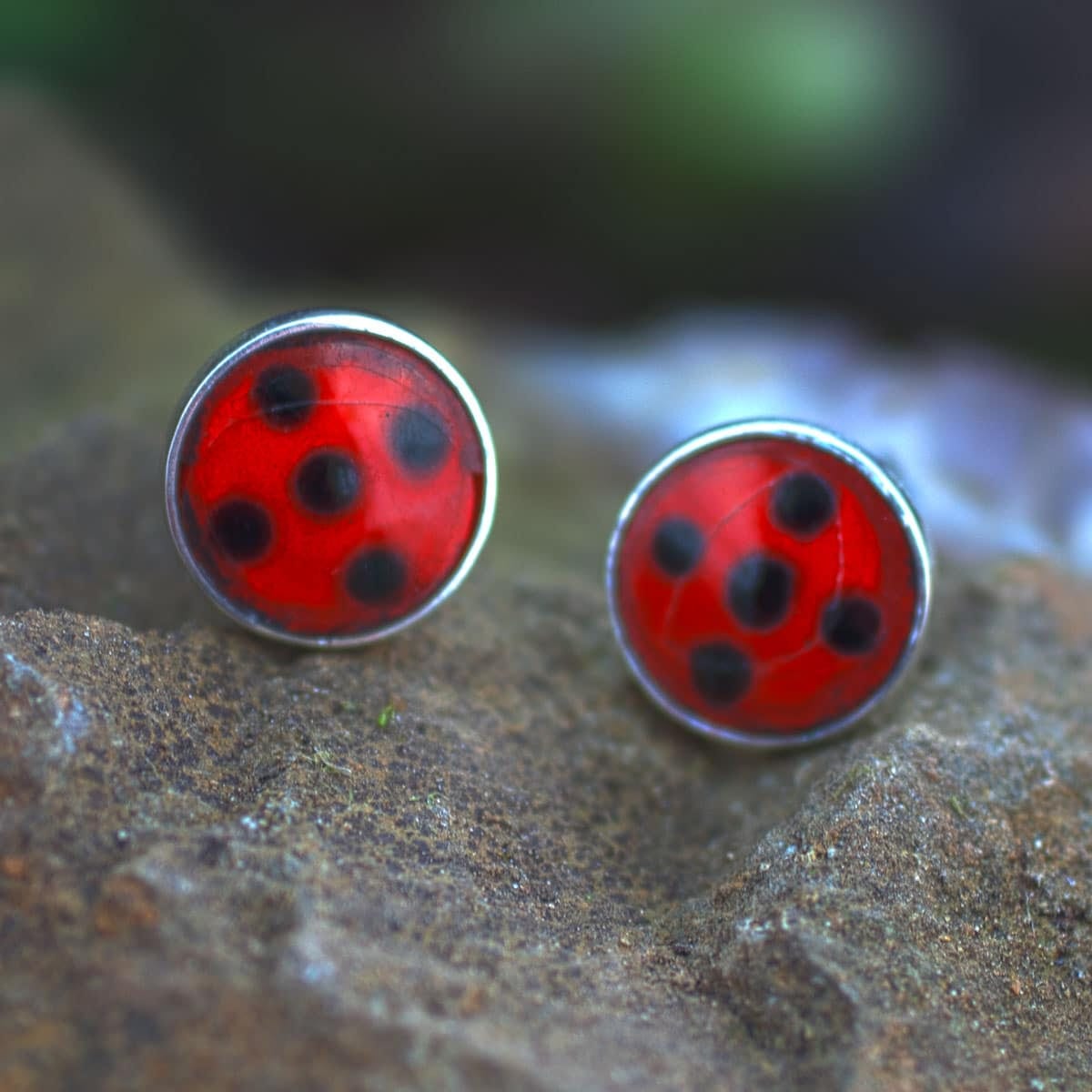 Ohrstecker Marienkäfer