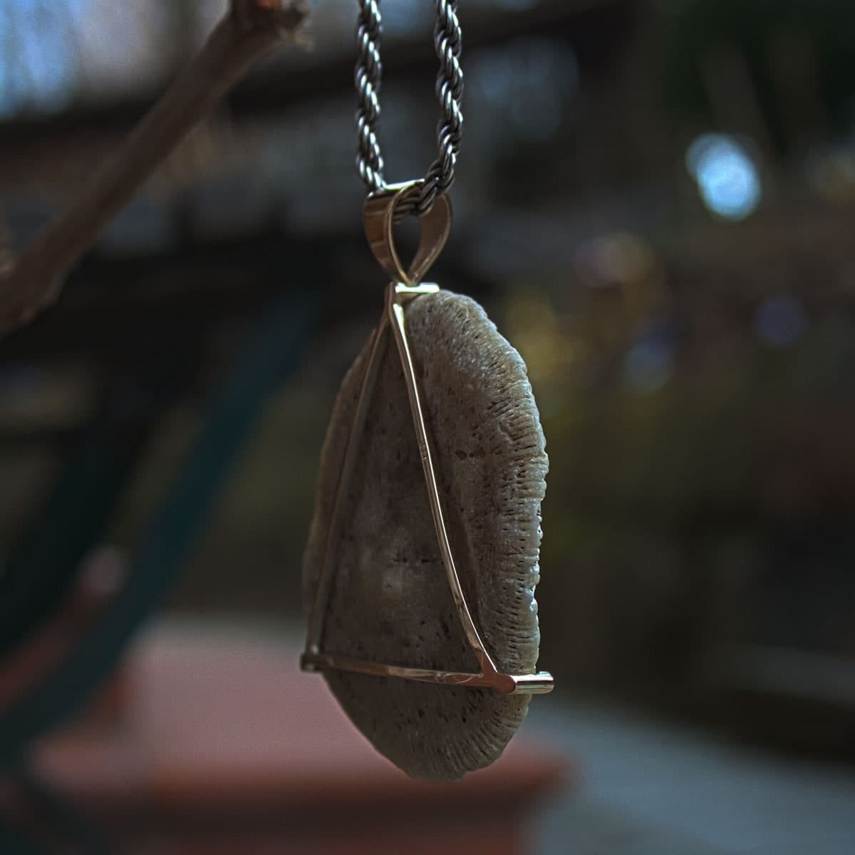 Versteinerung in Silber gefasst