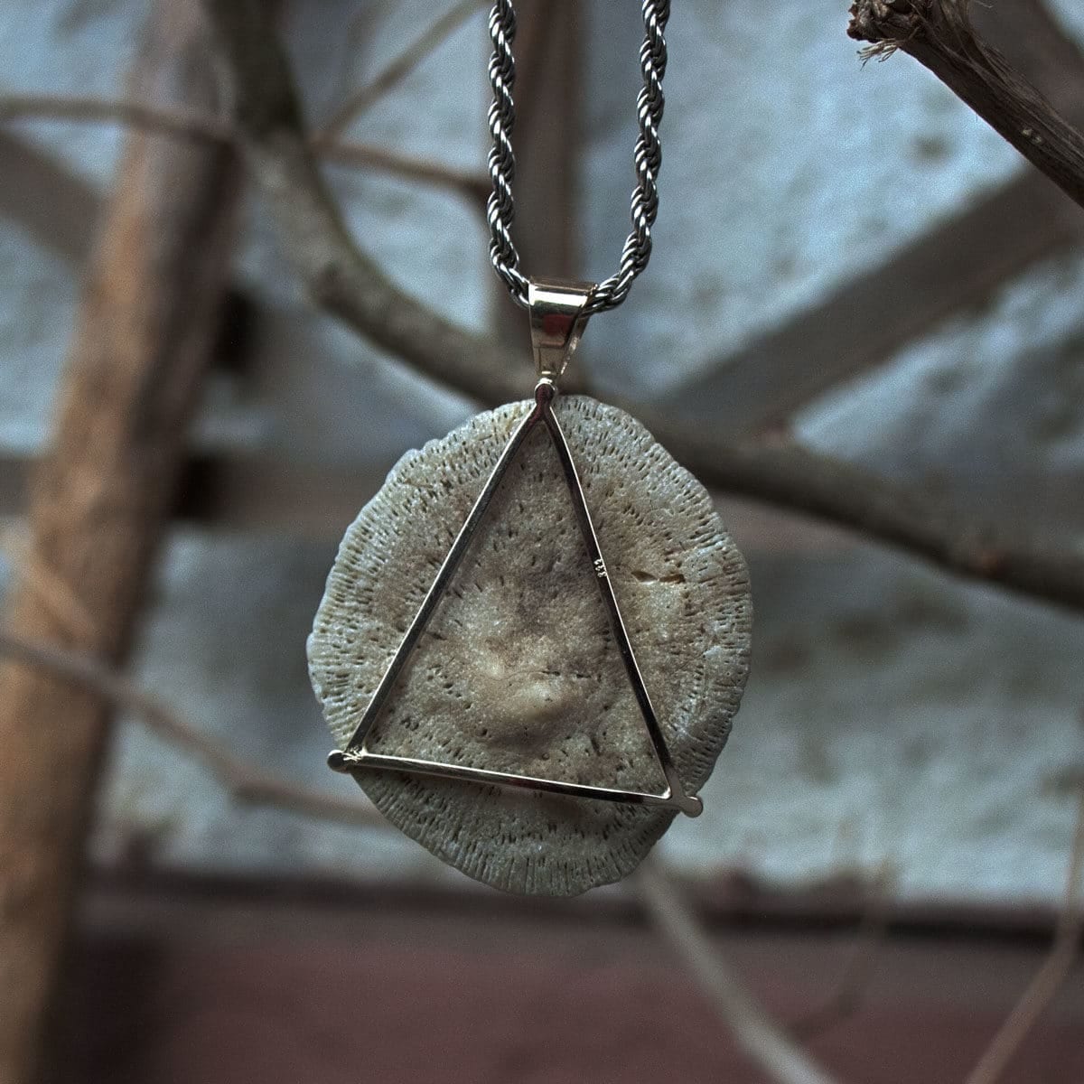 Versteinerung in Silber gefasst