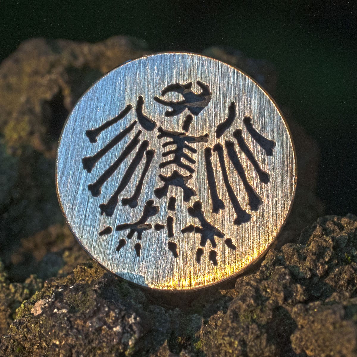 Ohrstecker Knochenadler