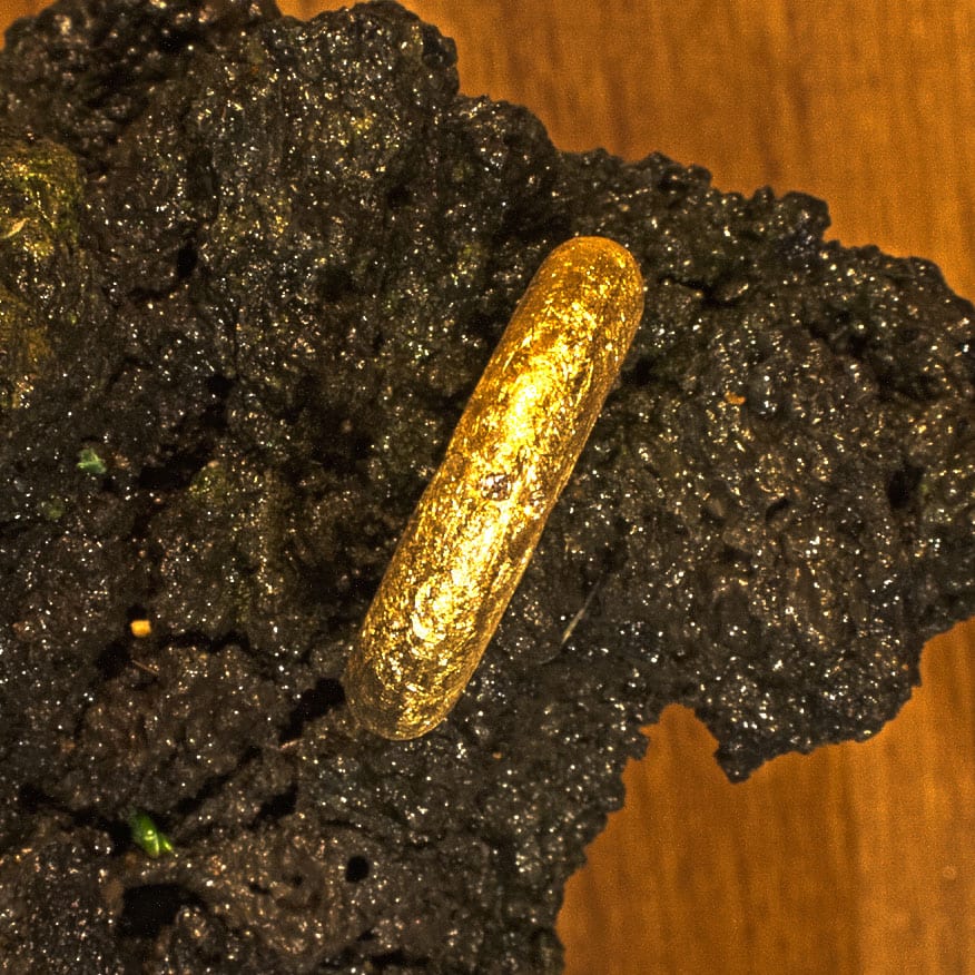 runder Ring Gelbgold matt