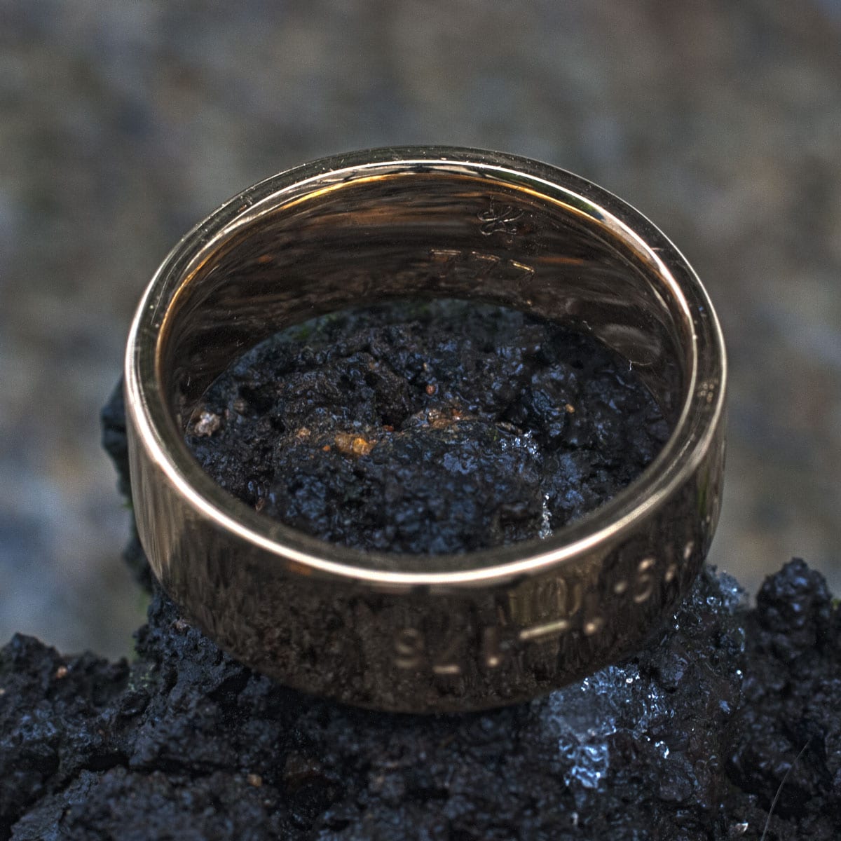 Psalm Ring