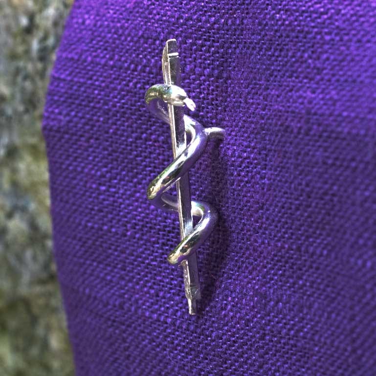 Geigenbogen mit Aeskulabnatter