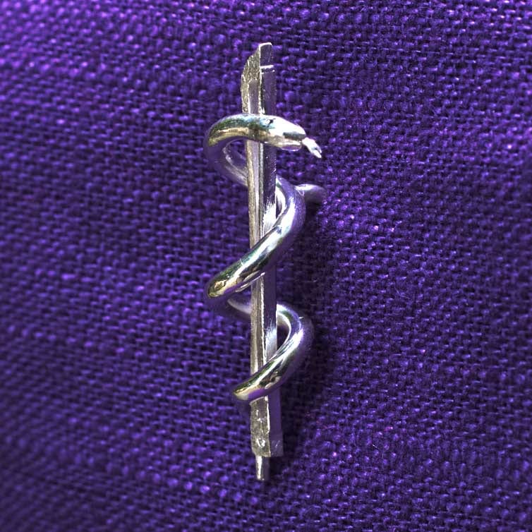 Geigenbogen mit Aeskulabnatter