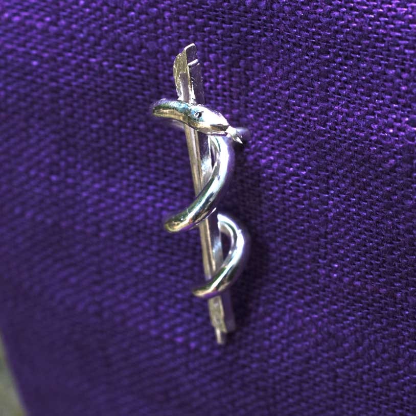 Geigenbogen mit Aeskulabnatter