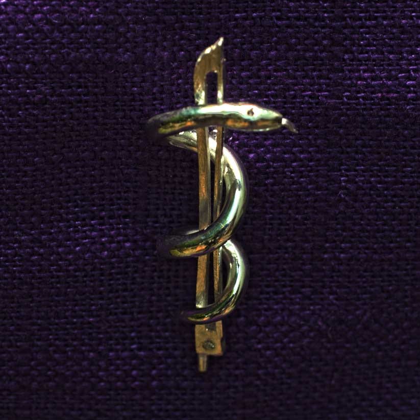 Geigenbogen mit Aeskulabnatter