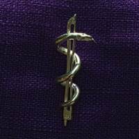 Geigenbogen mit Aeskulabnatter