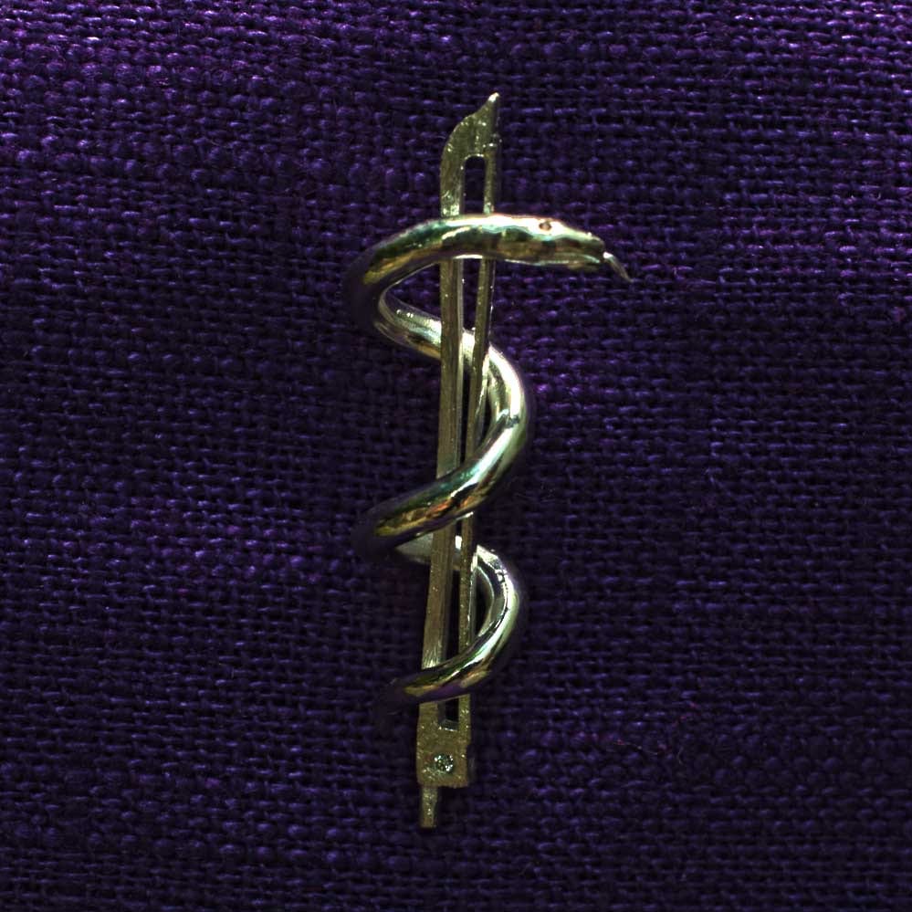 Geigenbogen mit Aeskulabnatter