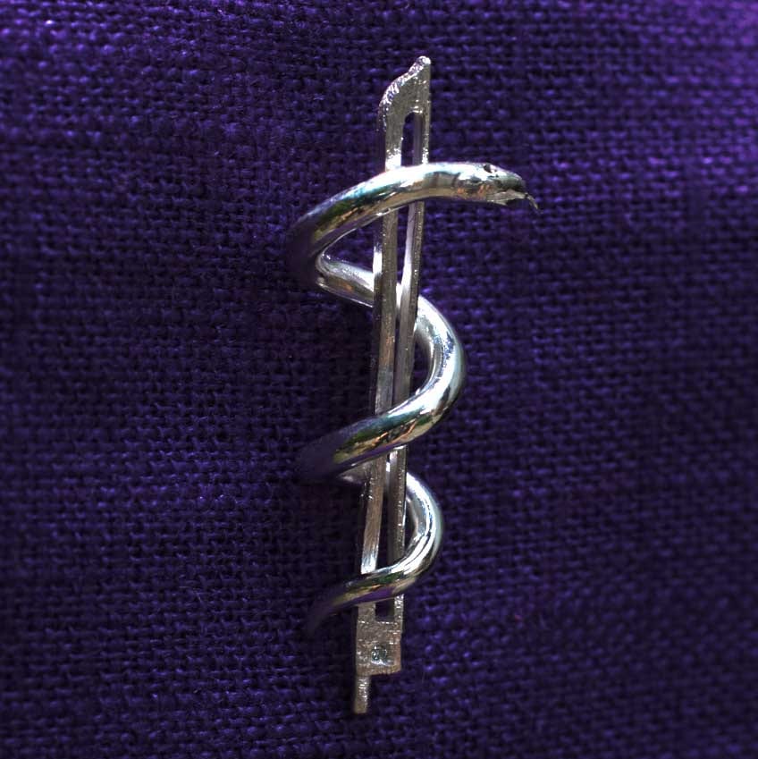 Geigenbogen mit Aeskulabnatter