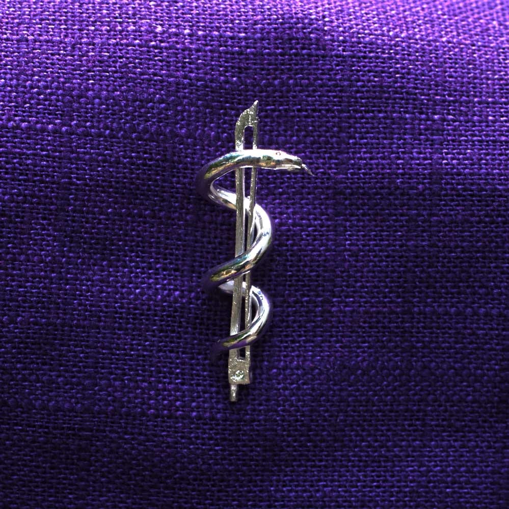 Geigenbogen mit Aeskulabnatter