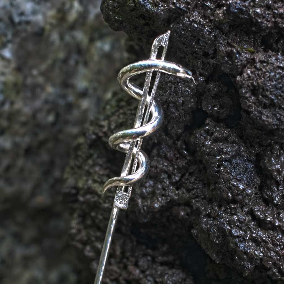 Geigenbogen mit Aeskulabnatter