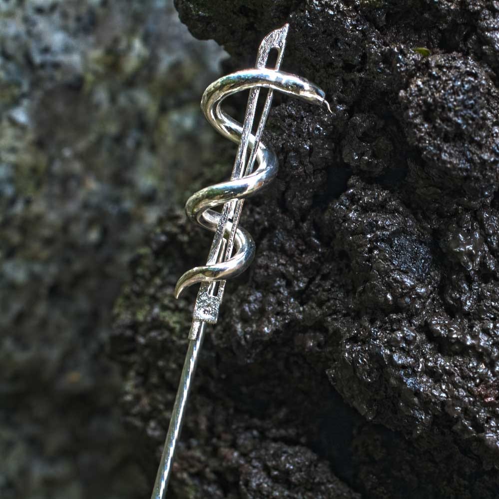 Geigenbogen mit Aeskulabnatter