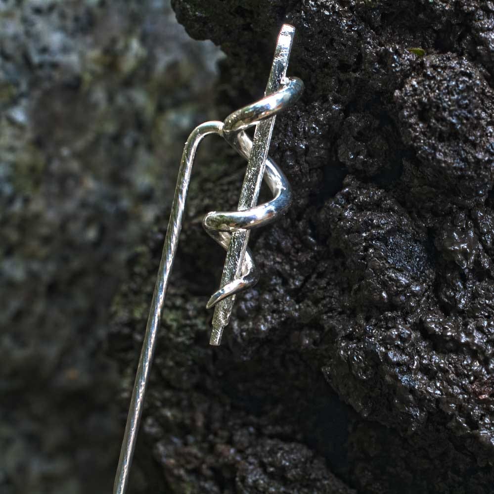 Geigenbogen mit Aeskulabnatter