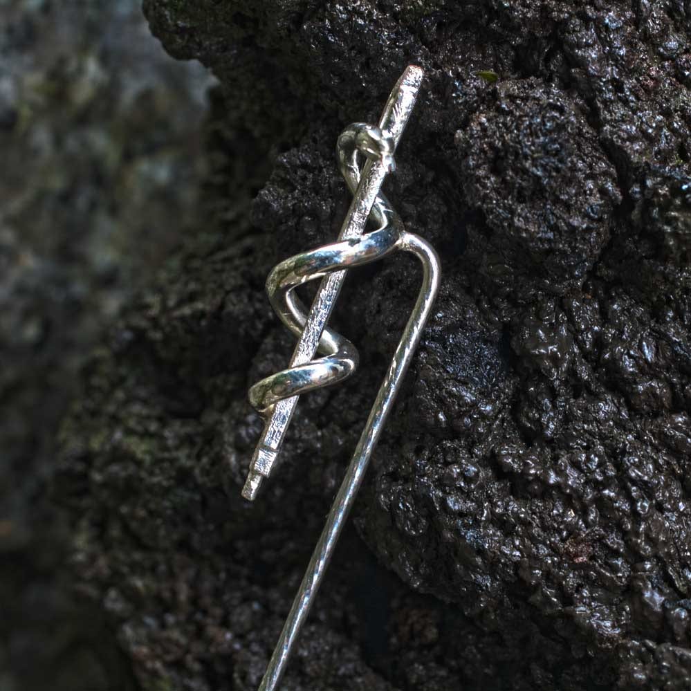 Geigenbogen mit Aeskulabnatter