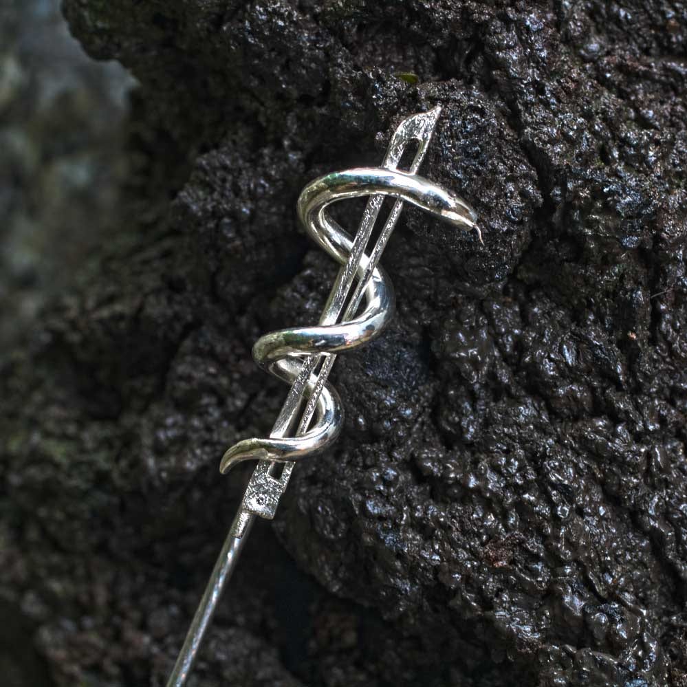 Geigenbogen mit Aeskulabnatter