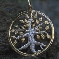 zweifarbiger Lebensbaum