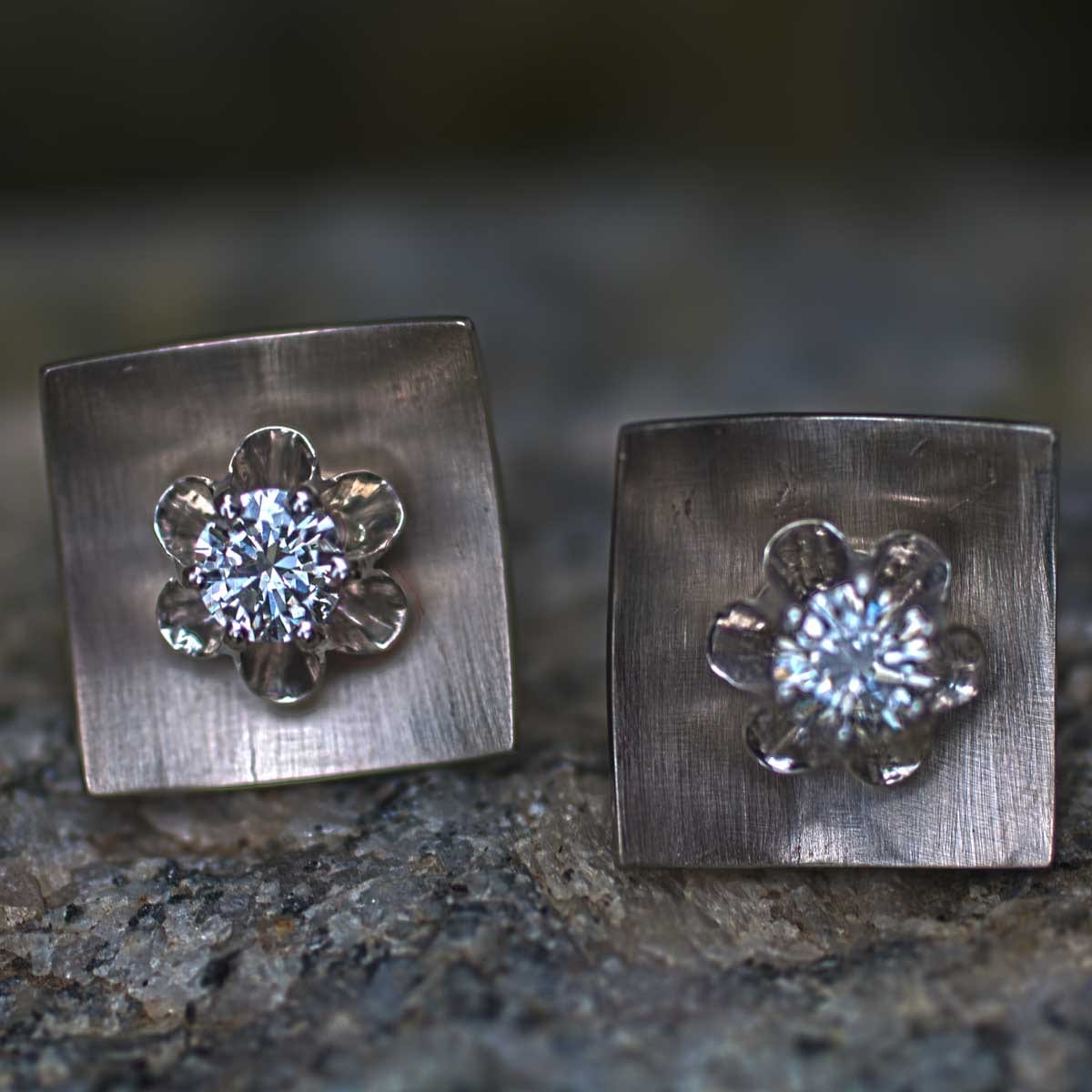 Brillantblume am Quadrat