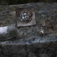 Brillantblume am Quadrat