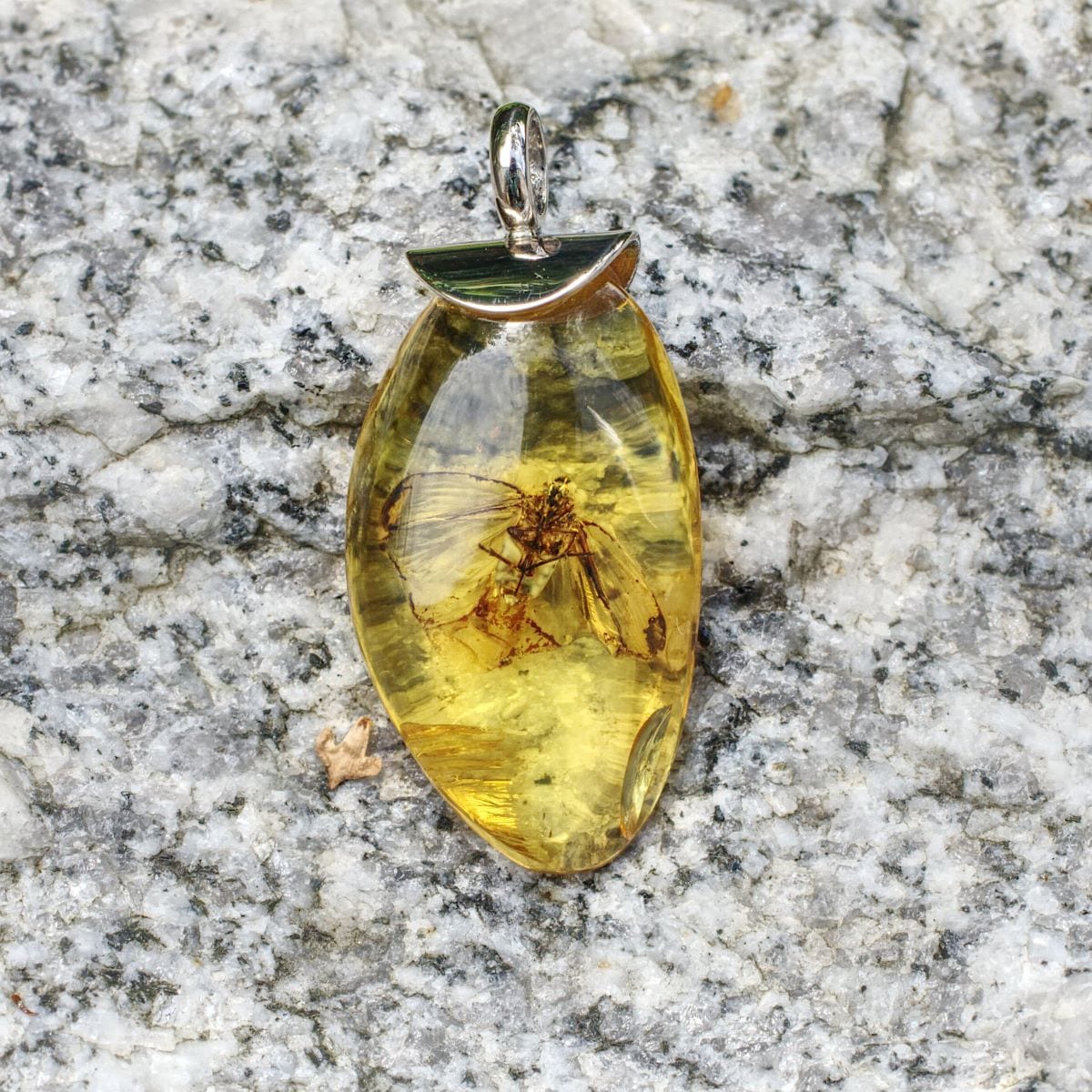 Bernstein mit Insekteneinschluß