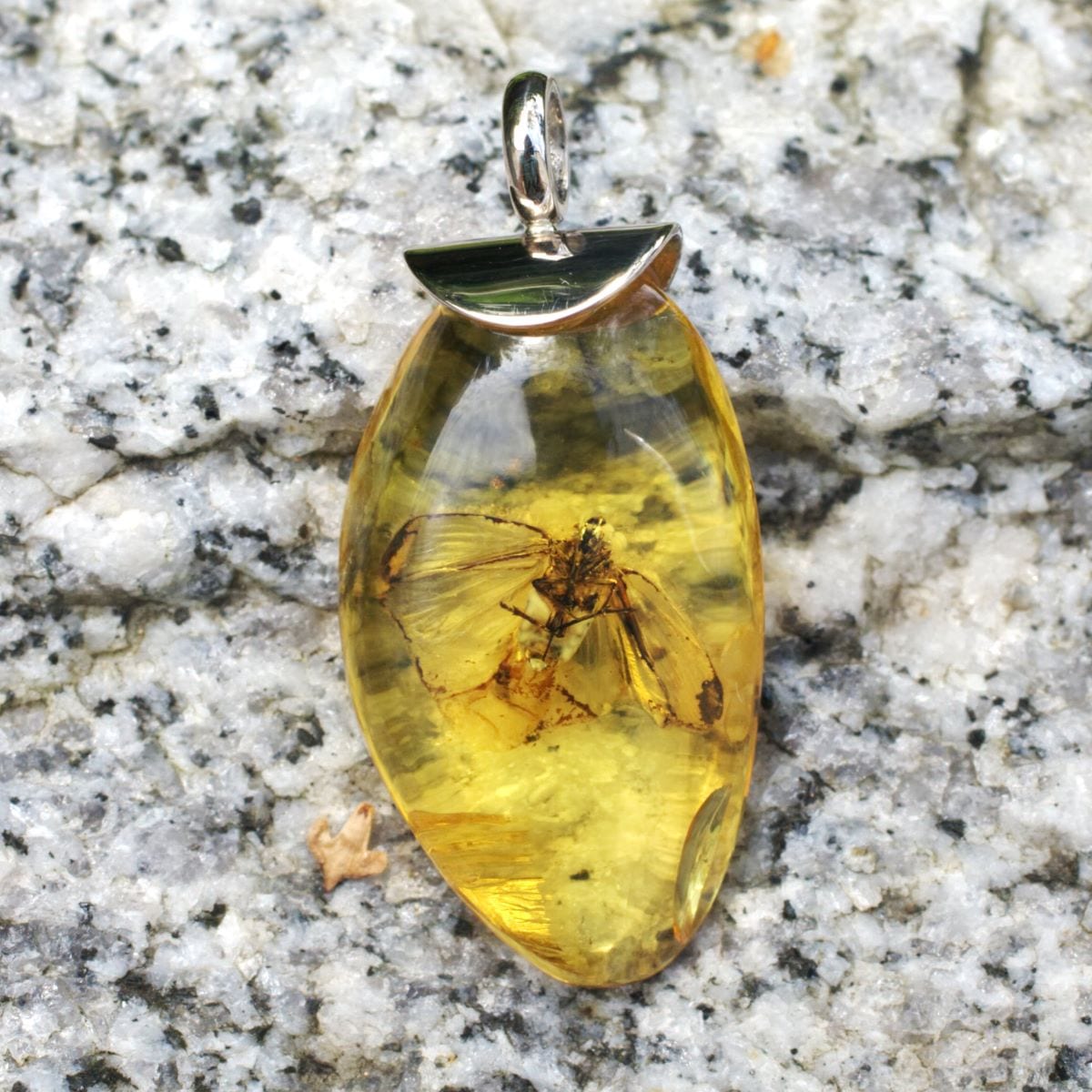 Bernstein mit Insekteneinschluß – Bild 5
