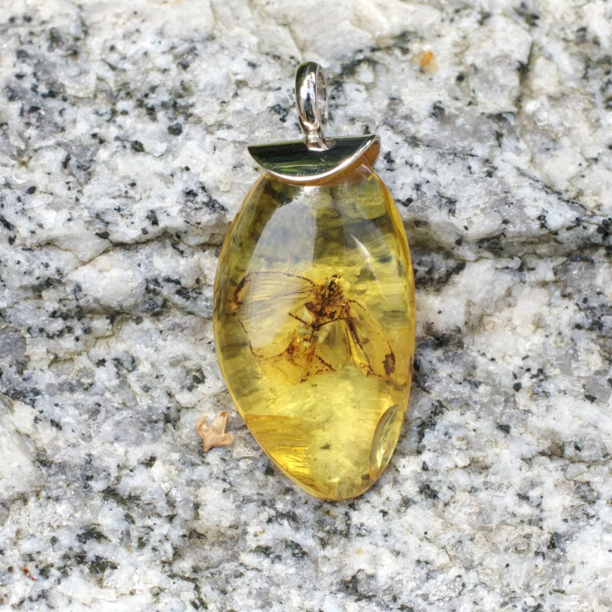 Bernstein mit Insekteneinschluß – Bild 2