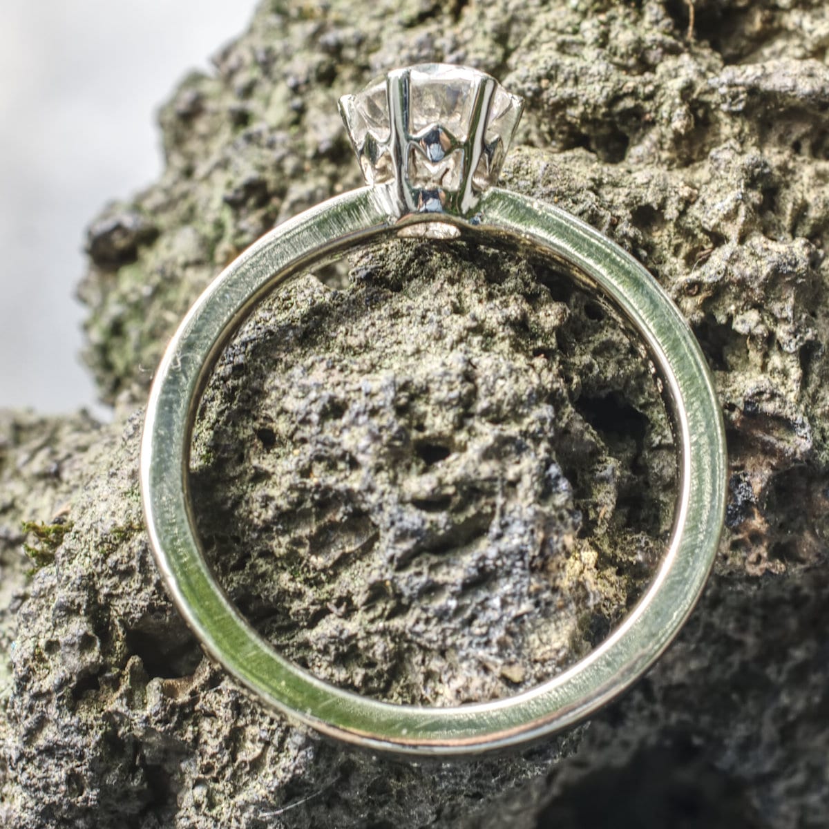 Gelbgoldfirmament mit Weißgoldsolitär-Vorsteckring – Bild 10