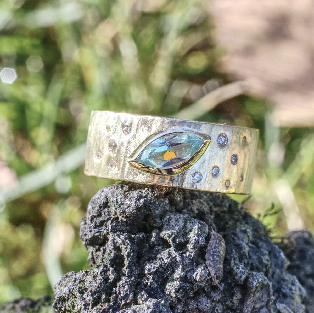 Ring blaues Navett im Firmament – Bild 6