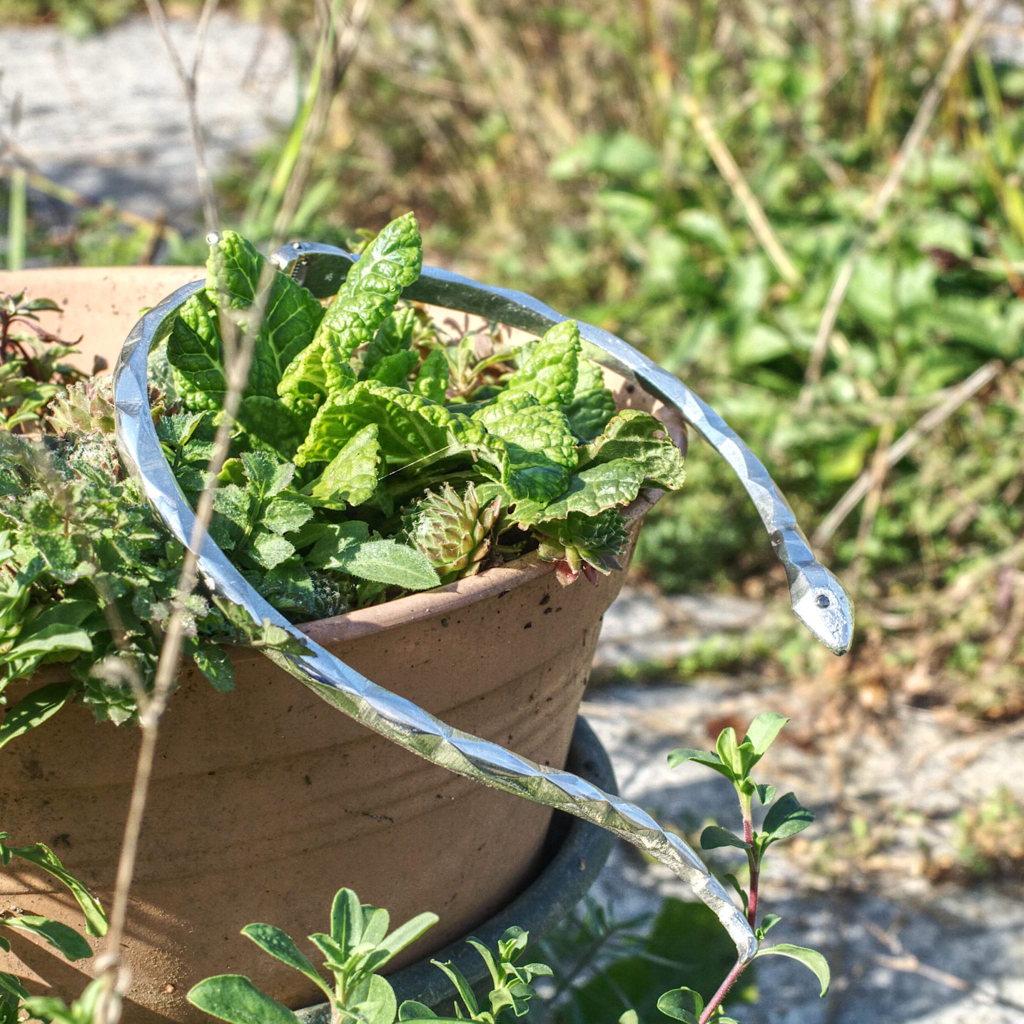 Collier Schlangentorque – Bild 2