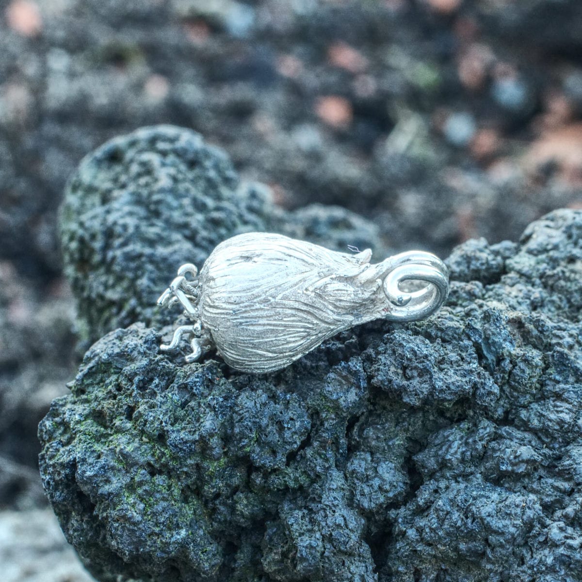 Silberzwiebel – Bild 5