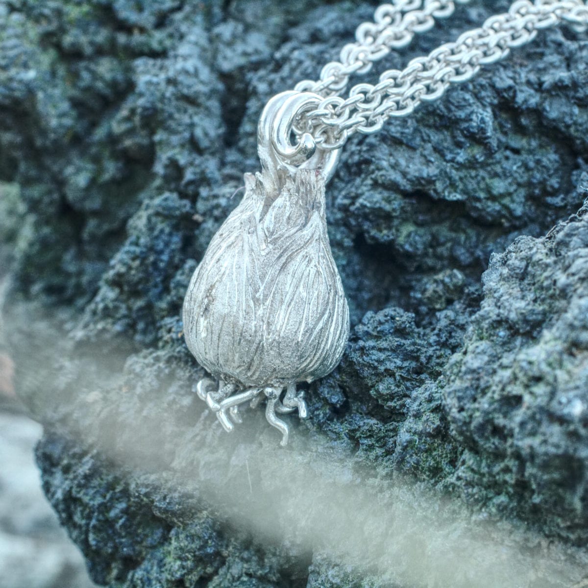 Silberzwiebel – Bild 4