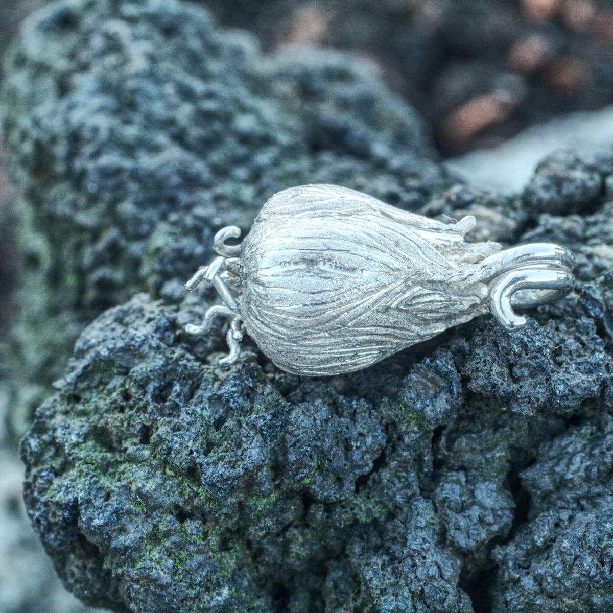 Silberzwiebel – Bild 2