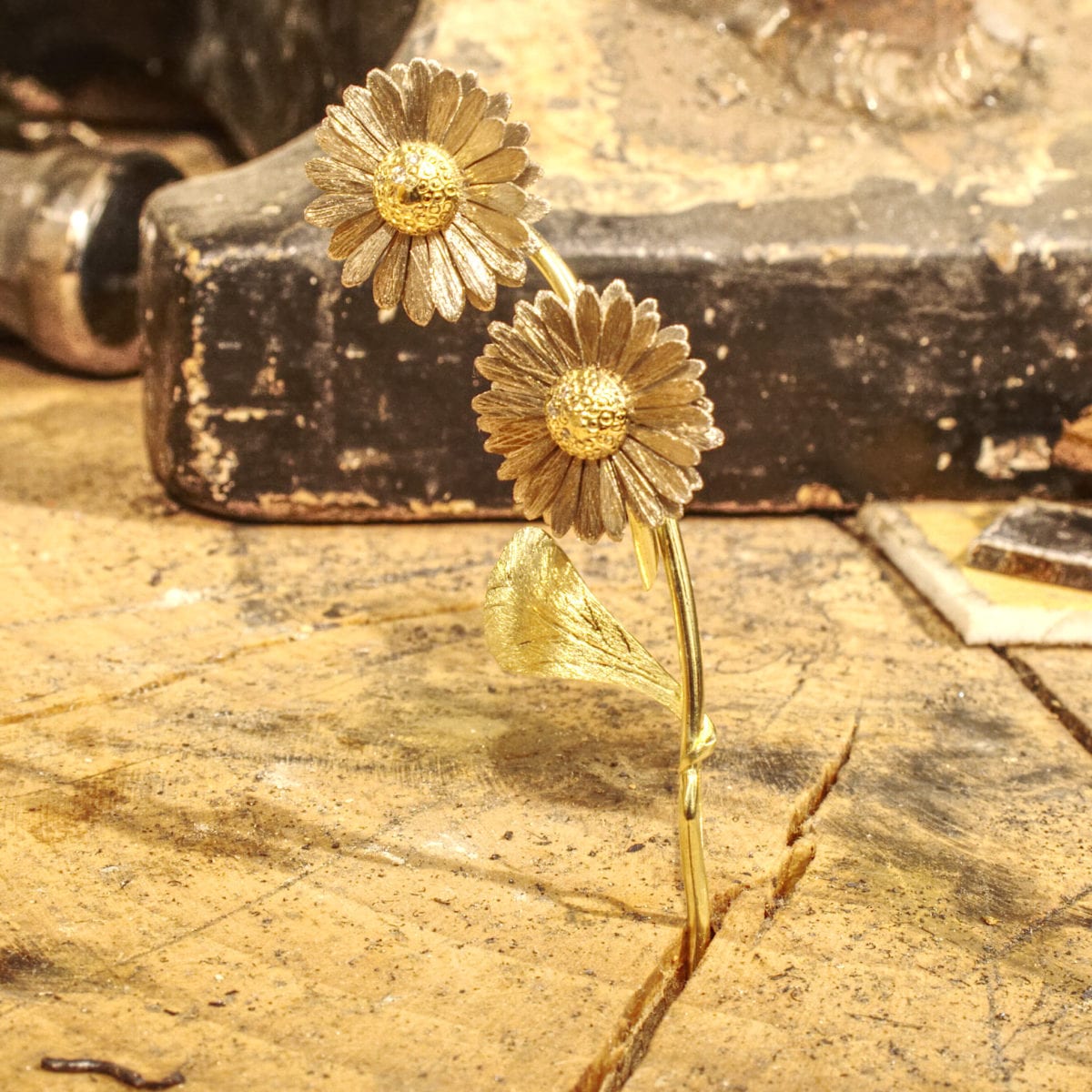 Gänseblümchen – Bild 29