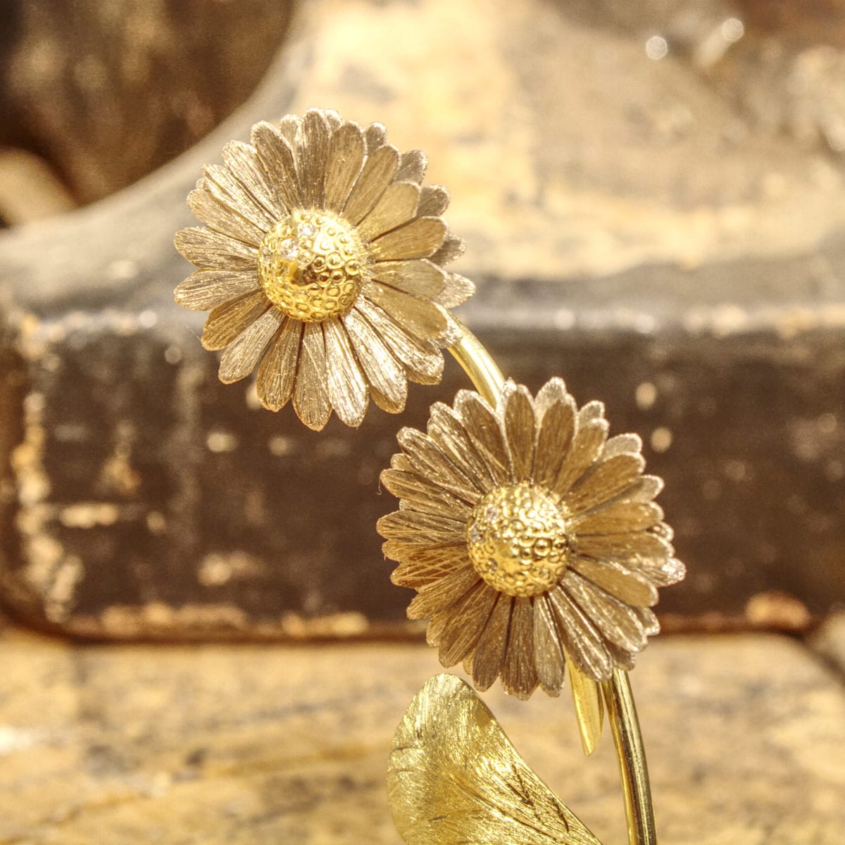 Gänseblümchen – Bild 28