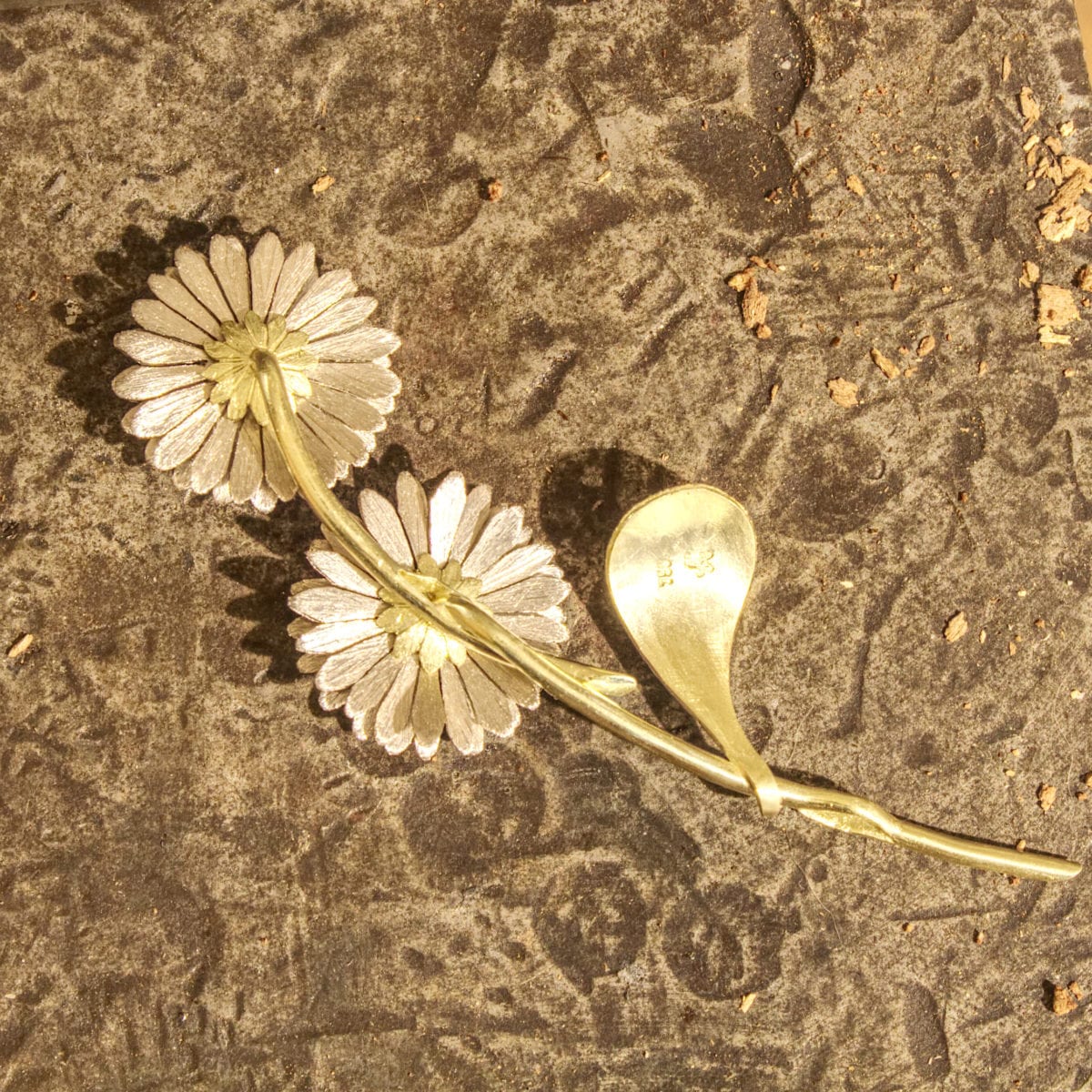 Gänseblümchen – Bild 27